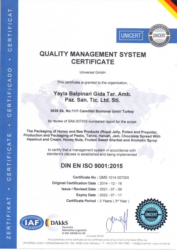 ISO-9001-English-2022-scaled.jpg